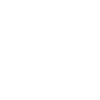 Academia Vincere de Esgrima histórica/HEMA en Argentina logo transparente