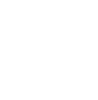 Academia Vincere de Esgrima histórica/HEMA en Argentina logo transparente